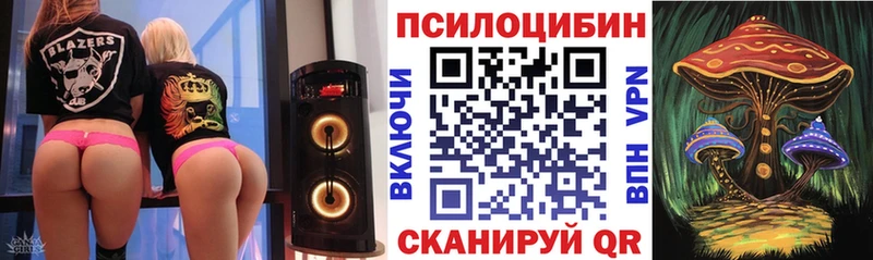 купить закладку  Сольцы  MEGA ССЫЛКА  Галлюциногенные грибы мицелий 