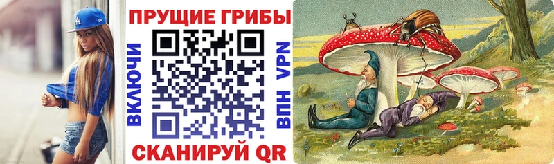 Псилоцибиновые грибы MAGIC MUSHROOMS Сольцы